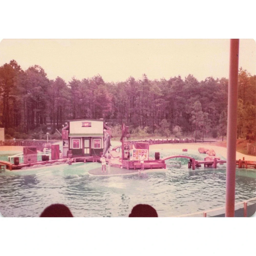 Vintage 1970s Six Flags Great Adventure Orca Water-Ski Show Photo Lot of 11 - Picture 2 of 11